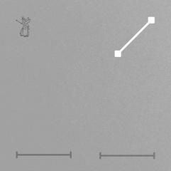 Cover 1
