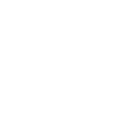 Scannan Sonic Logo